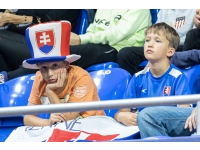 Slovenská podpora v hľadisku